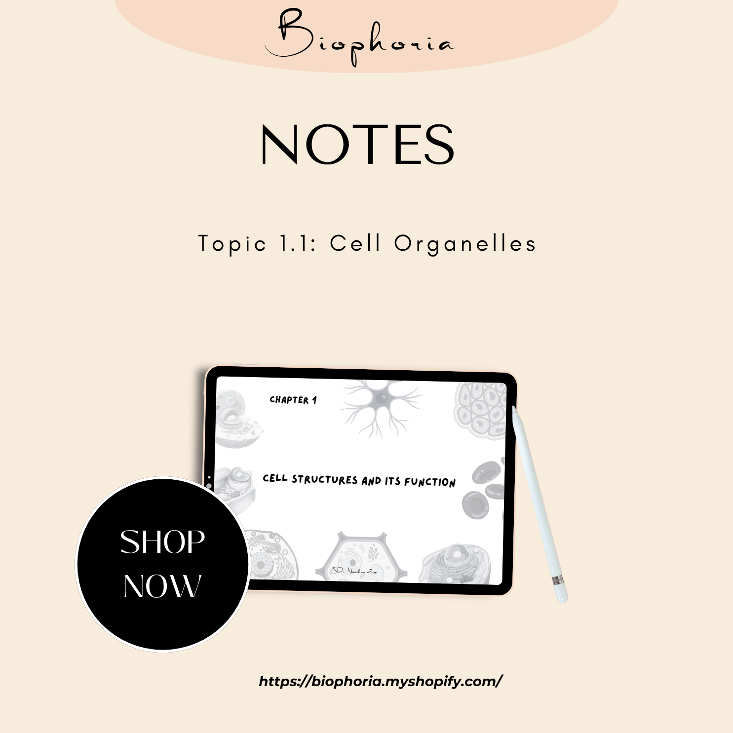 Topic 1.1: Cell Organelles – Notes "Digital form only"